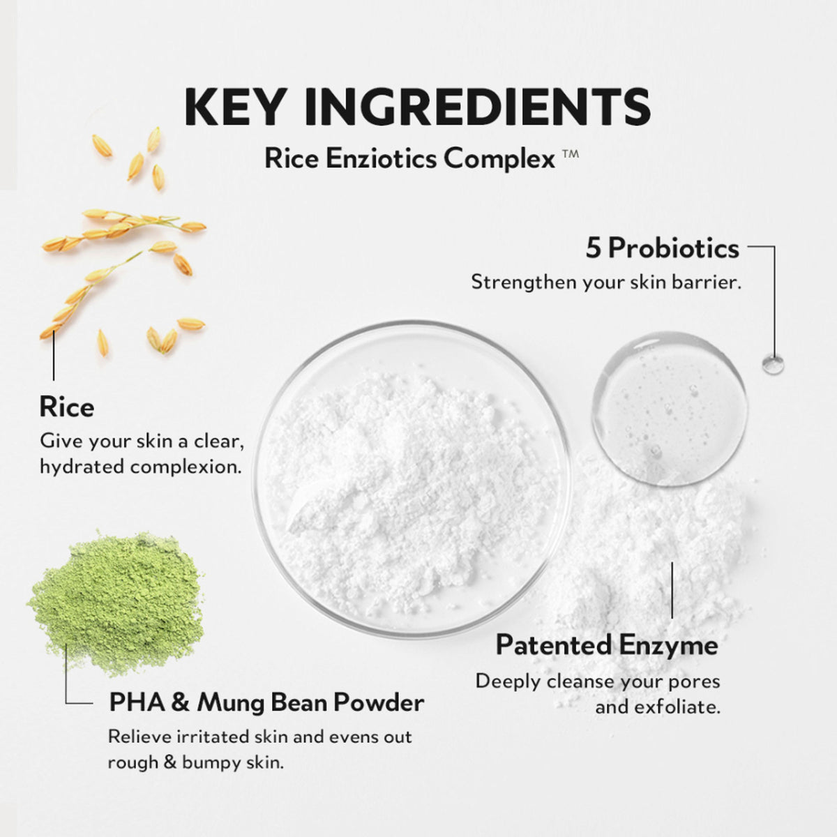 TIRTIR Hydro Boost Enzyme Powder Wash