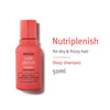 Aveda Nutriplenish Deep Hydration Shampoo for Dry & Frizzy Hair with Coconut Oil