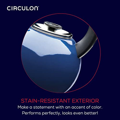 Circulon Enamel On Steel Whistling Tea Kettle