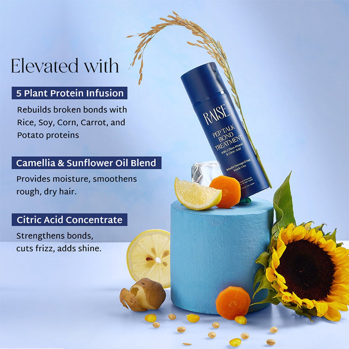 Raise Pep Talk Leave-in Bond Repair Treatment