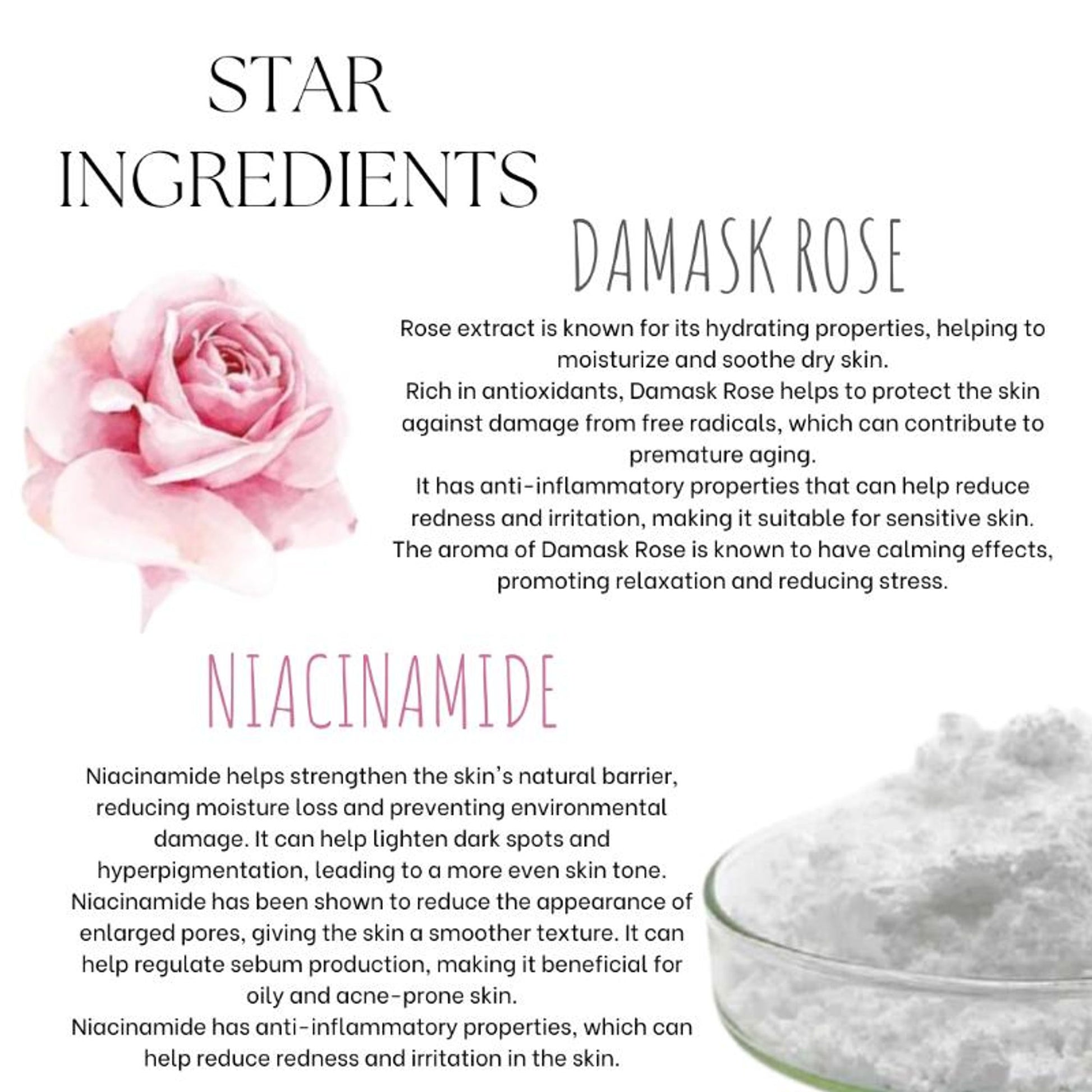 Ecoberry Damask Rose Face Wash Powder
