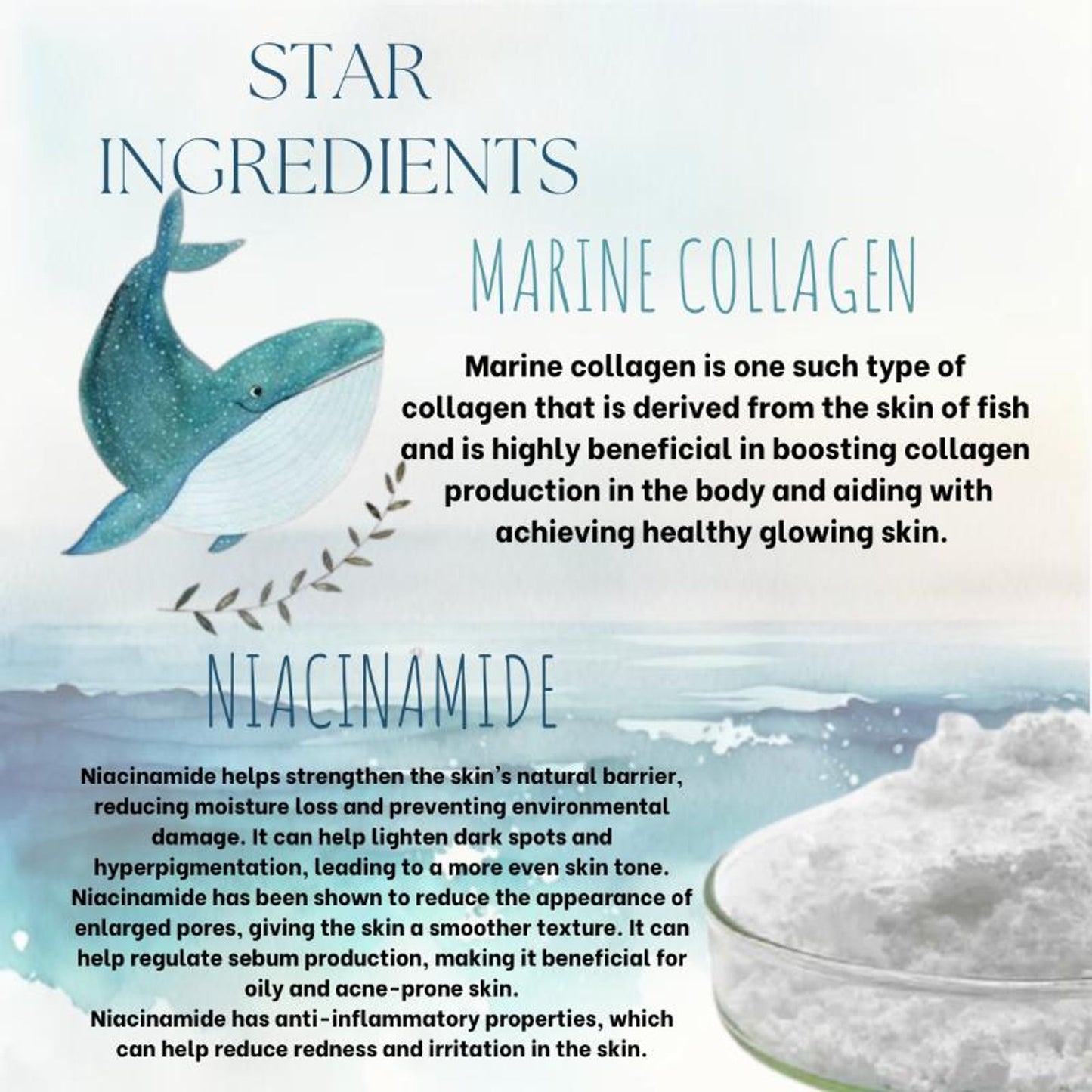 Ecoberry Marine Collagen Face Wash Powder