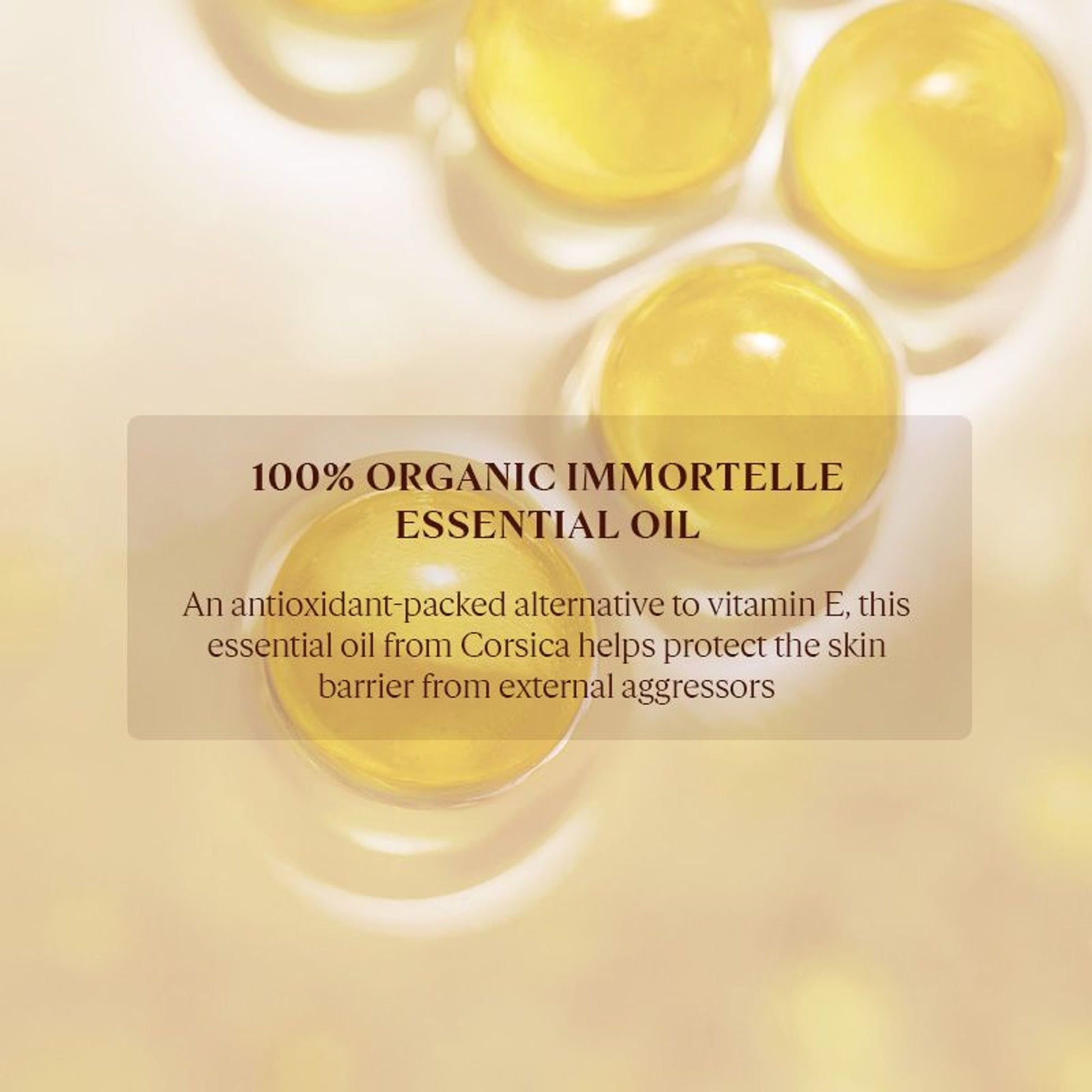 L'Occitane Immortelle Divine Foaming Cleansing Cream