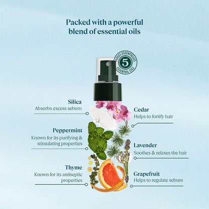 L'Occitane Purifying Freshness Dry Shampoo Mist 80ml