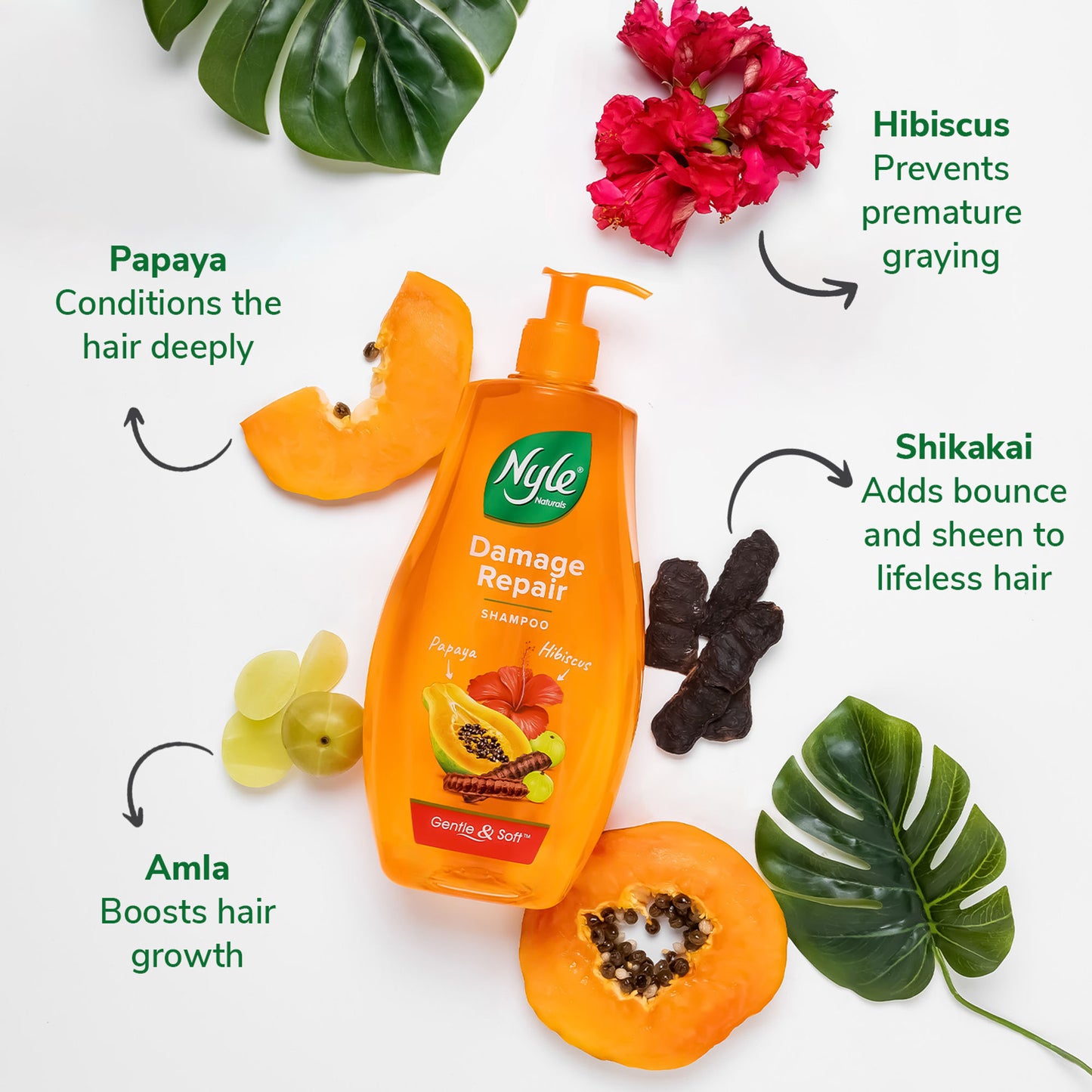 Nyle Naturals Damage Repair Shampoo with Goodness Of Shikakai & Hibiscus