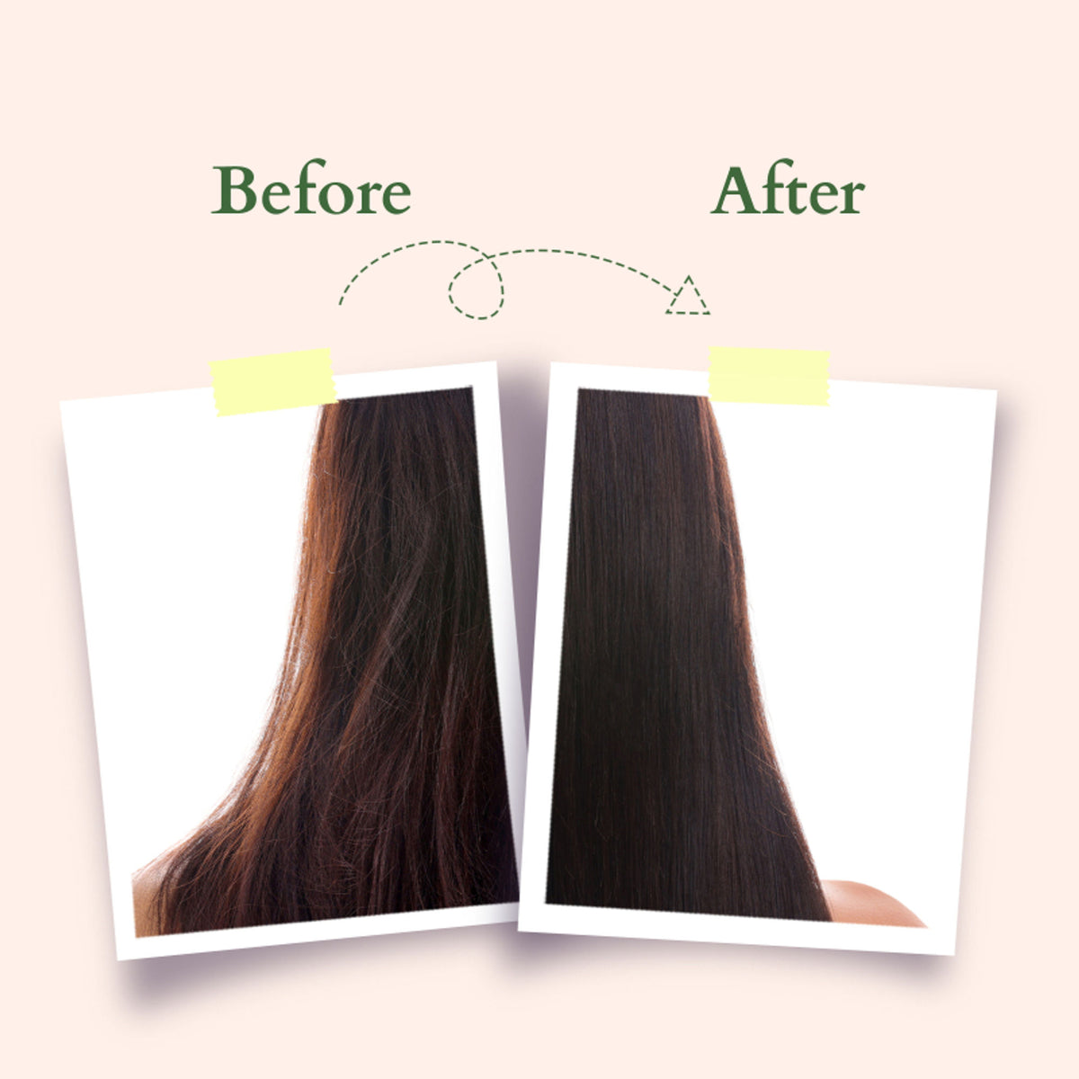 Lotus Organics Hair Fall Control Revival Mask