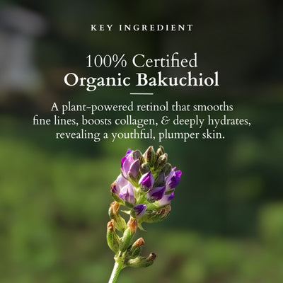 Lotus Organics+ Bakuchiol Plant Retinol Night Cream