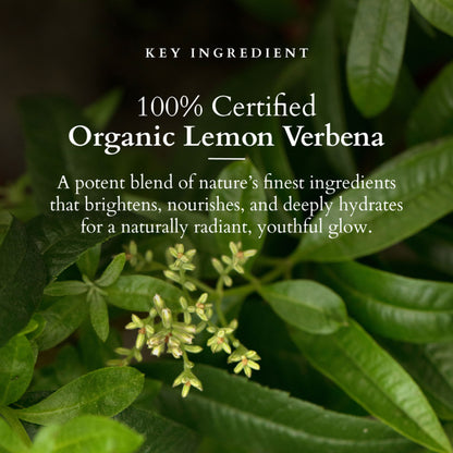 Lotus Organics Vit-C Radiance Booster Cleanser - Lemon Verbena
