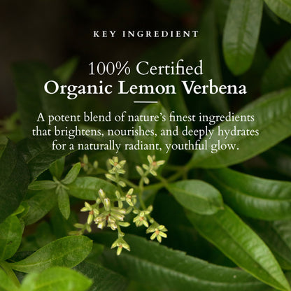 Lotus Organics Vit-C Radiance Booster Crème SPF 20 PA+++ - Lemon Verbena
