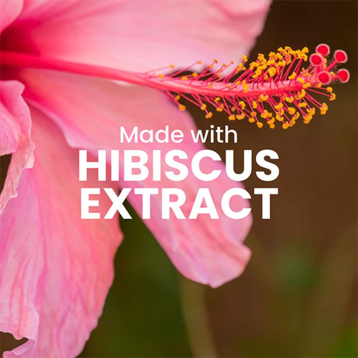 Wild Oak Pink Hibiscus Shea Butter Sugar Body Scrub