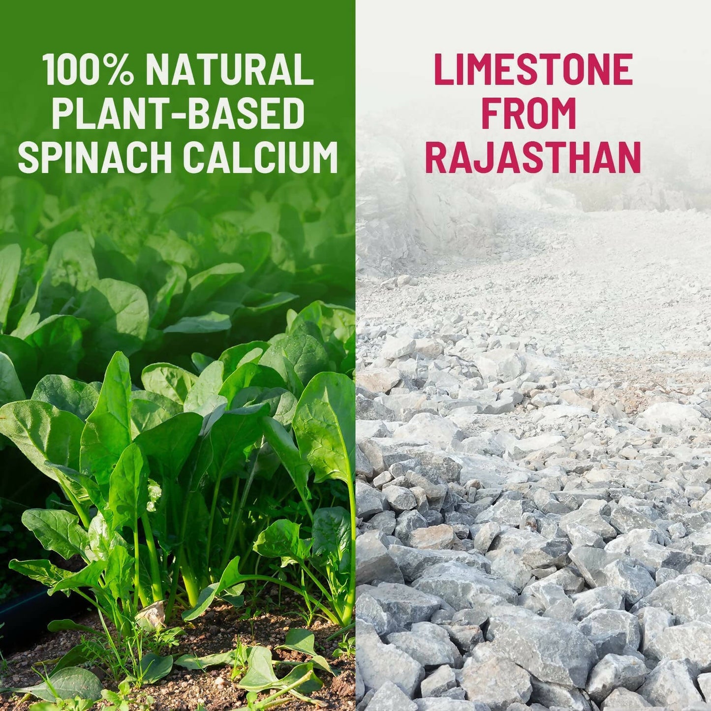 Gynoveda Spinach Calcium Drops