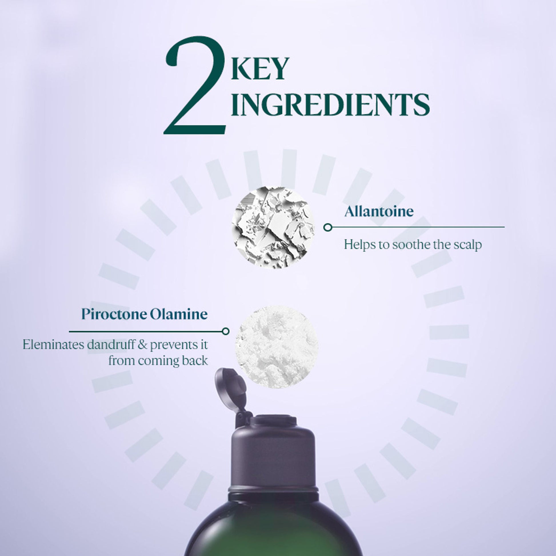 L'Occitane Anti Dandruff Shampoo