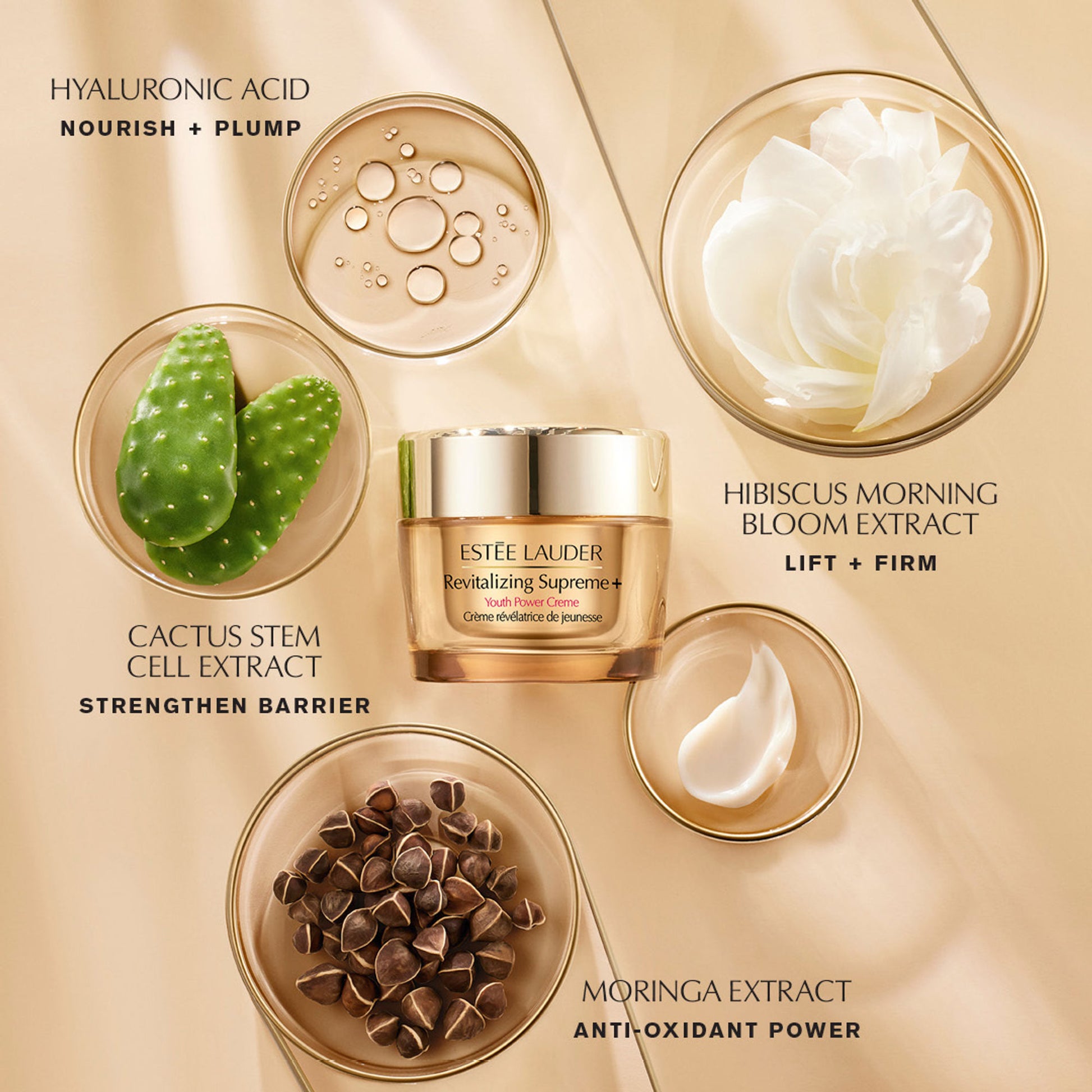 Estee Lauder Revitalizing Supreme+ Youth Power Creme Moisturizer with Hyaluronic Acid & Caffeine