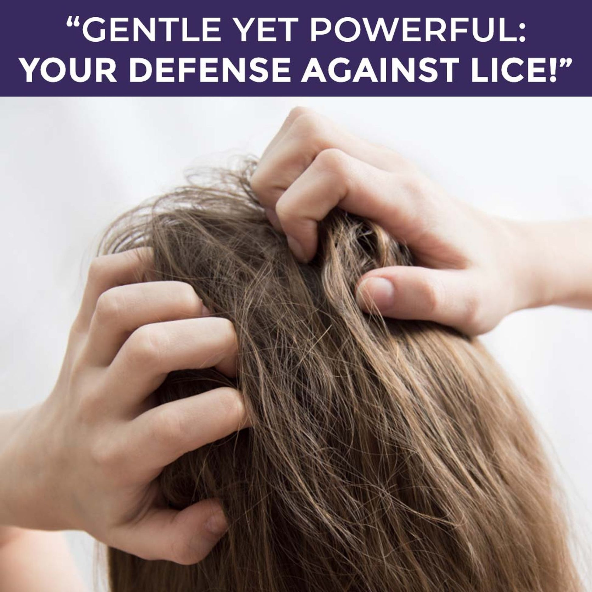 Sanfe Anti Lice & Dandruff Shampoo