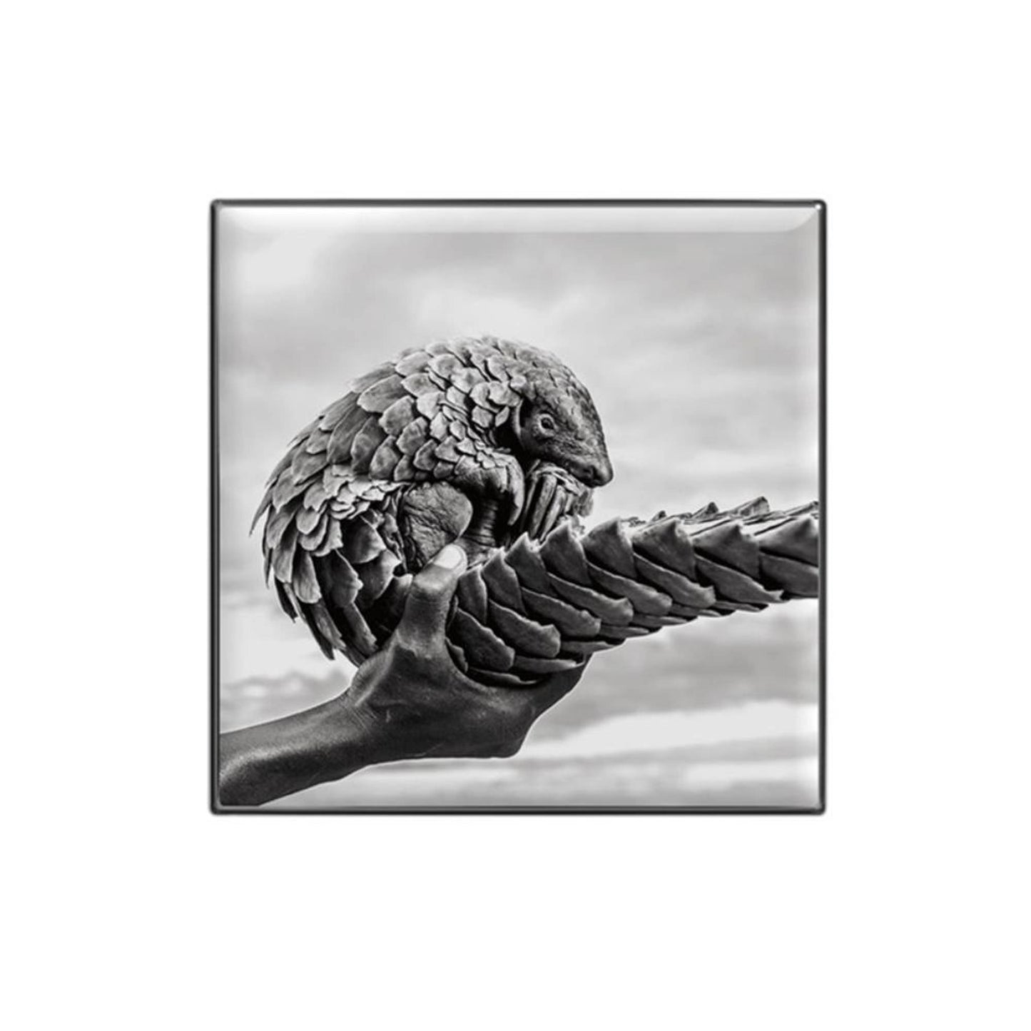 Chantecaille Luminescent Eye Shade - Pangolin