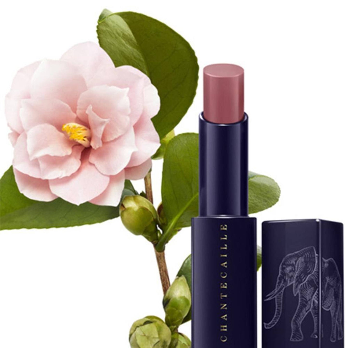 Chantecaille Lip Veil - Elderberry