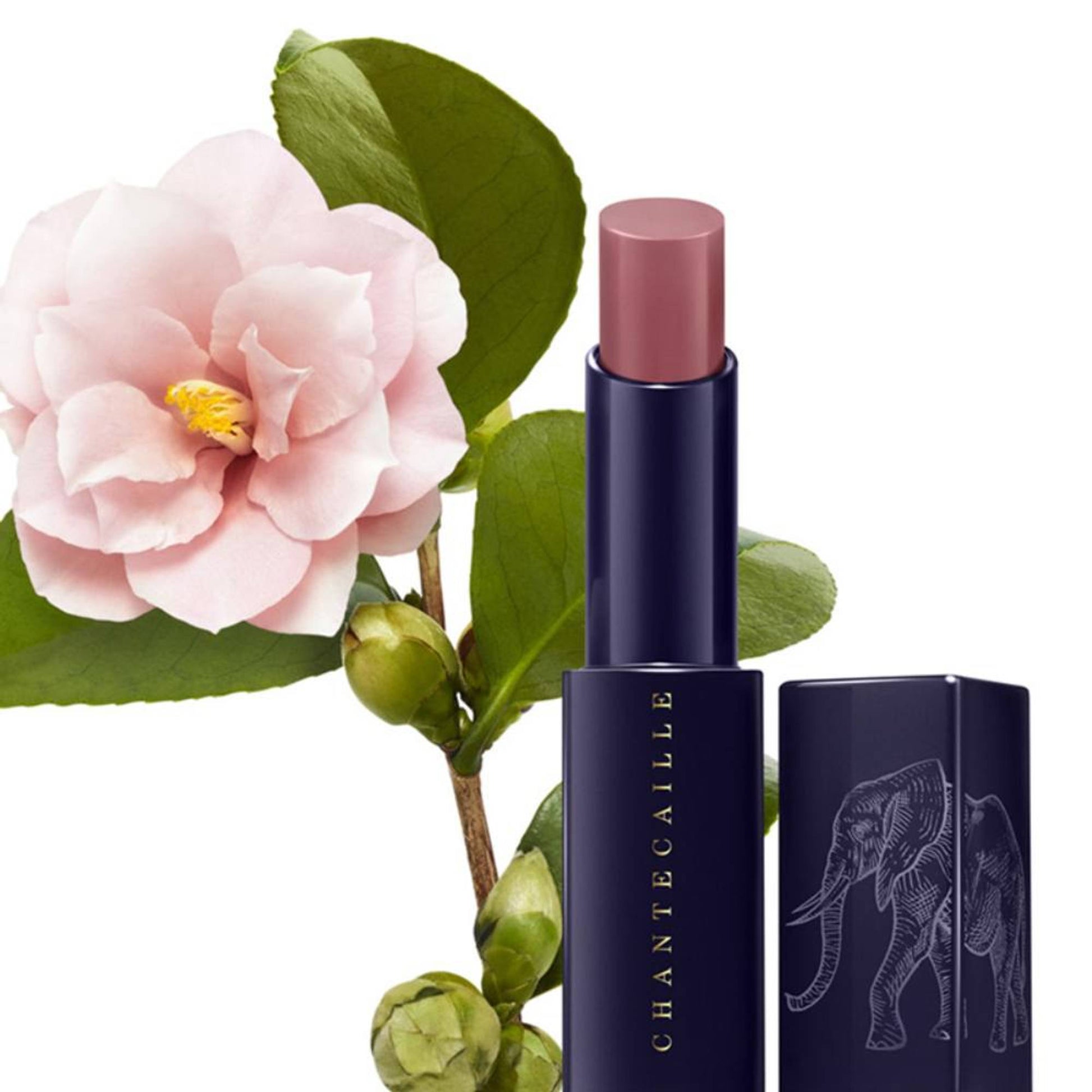Chantecaille Lip Veil - Portulaca