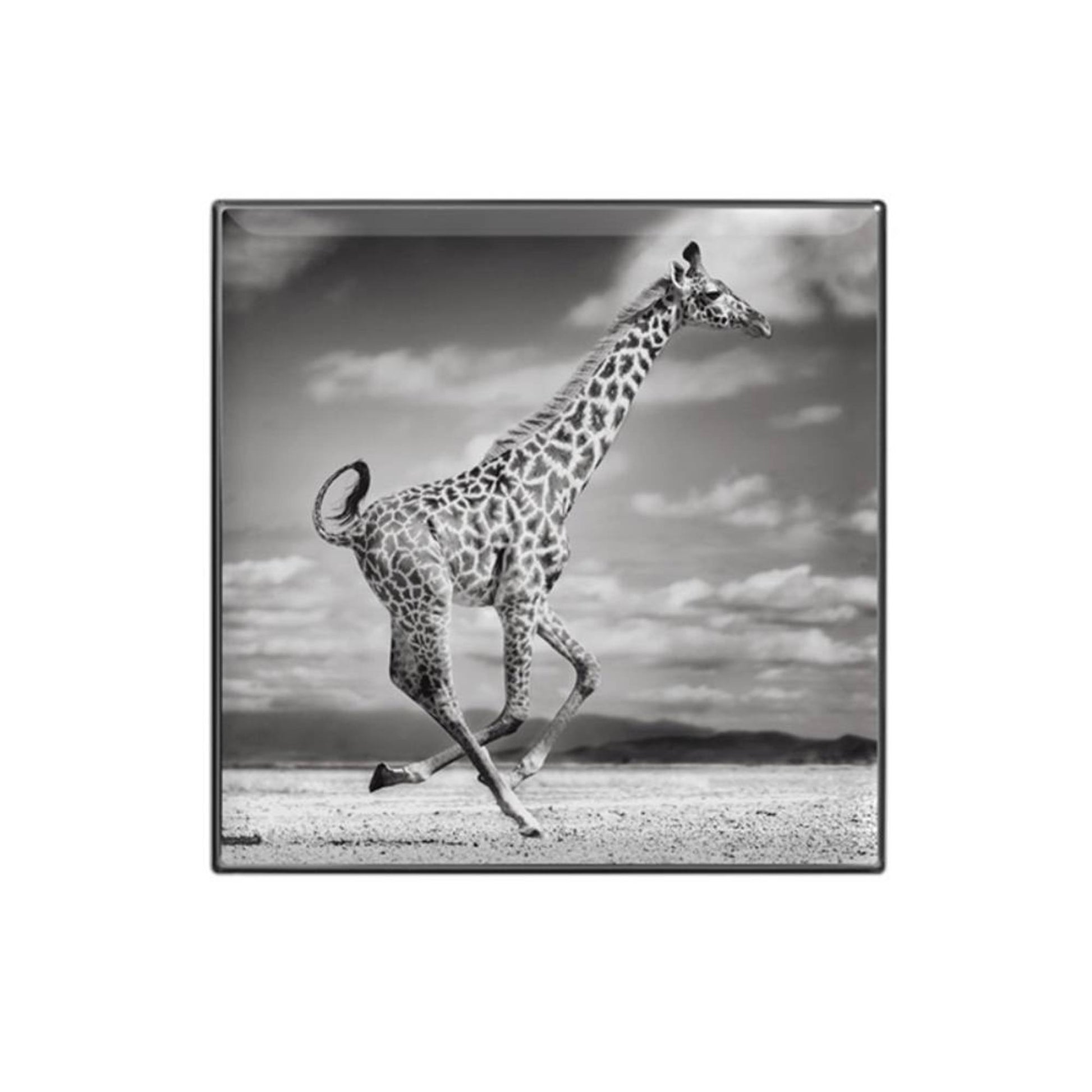 Chantecaille Luminescent Eye Shade - Giraffe