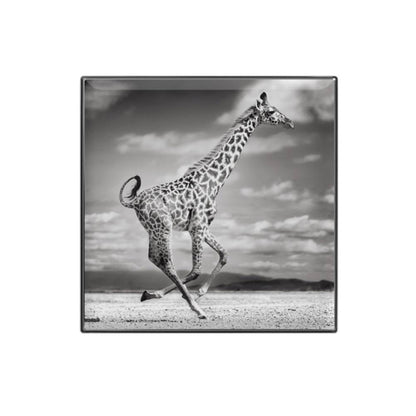 Chantecaille Luminescent Eye Shade - Giraffe