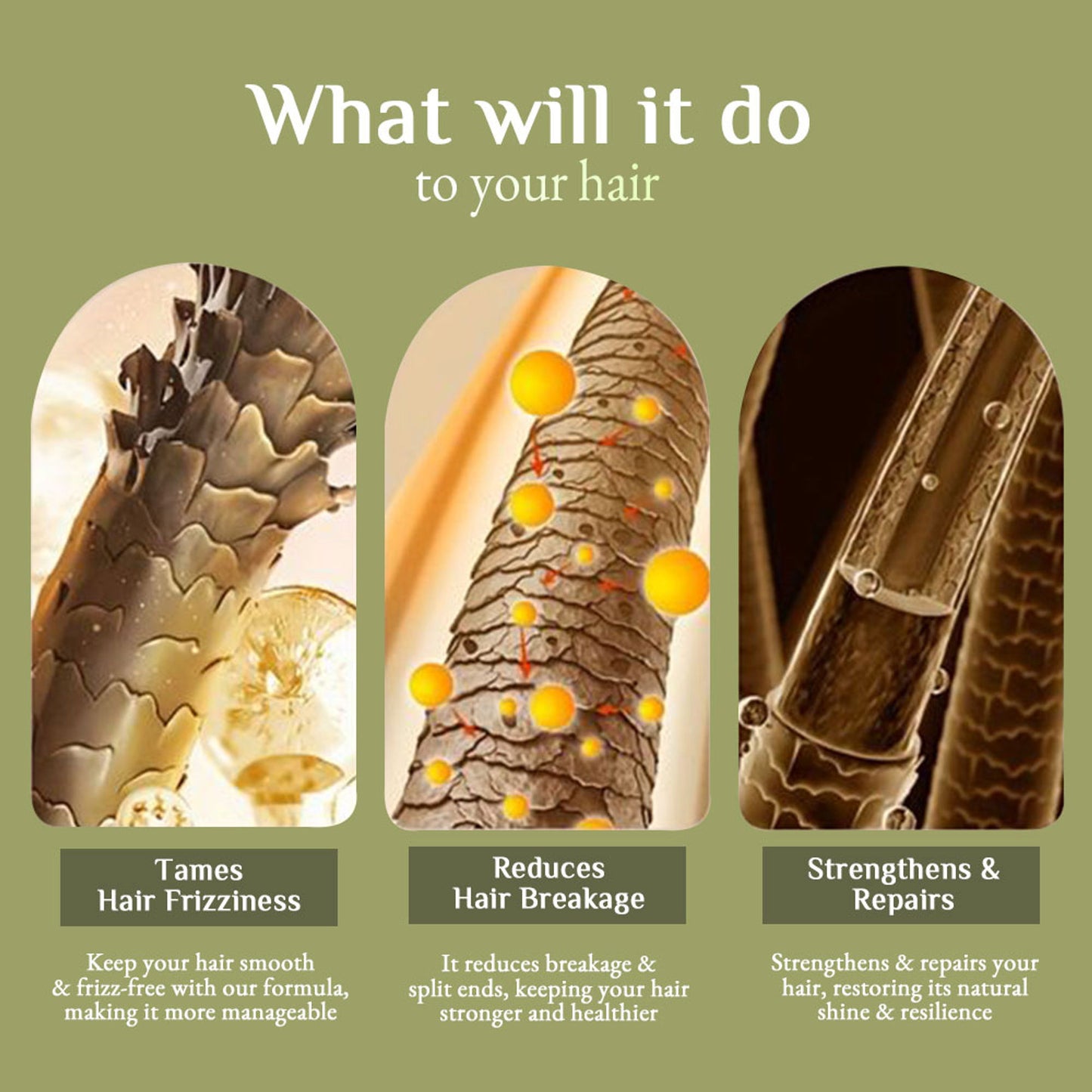 Richfeel Hair Nourisher Oil - Hair Fall Control & Growth Treatment, Trichologist-Developed Formula