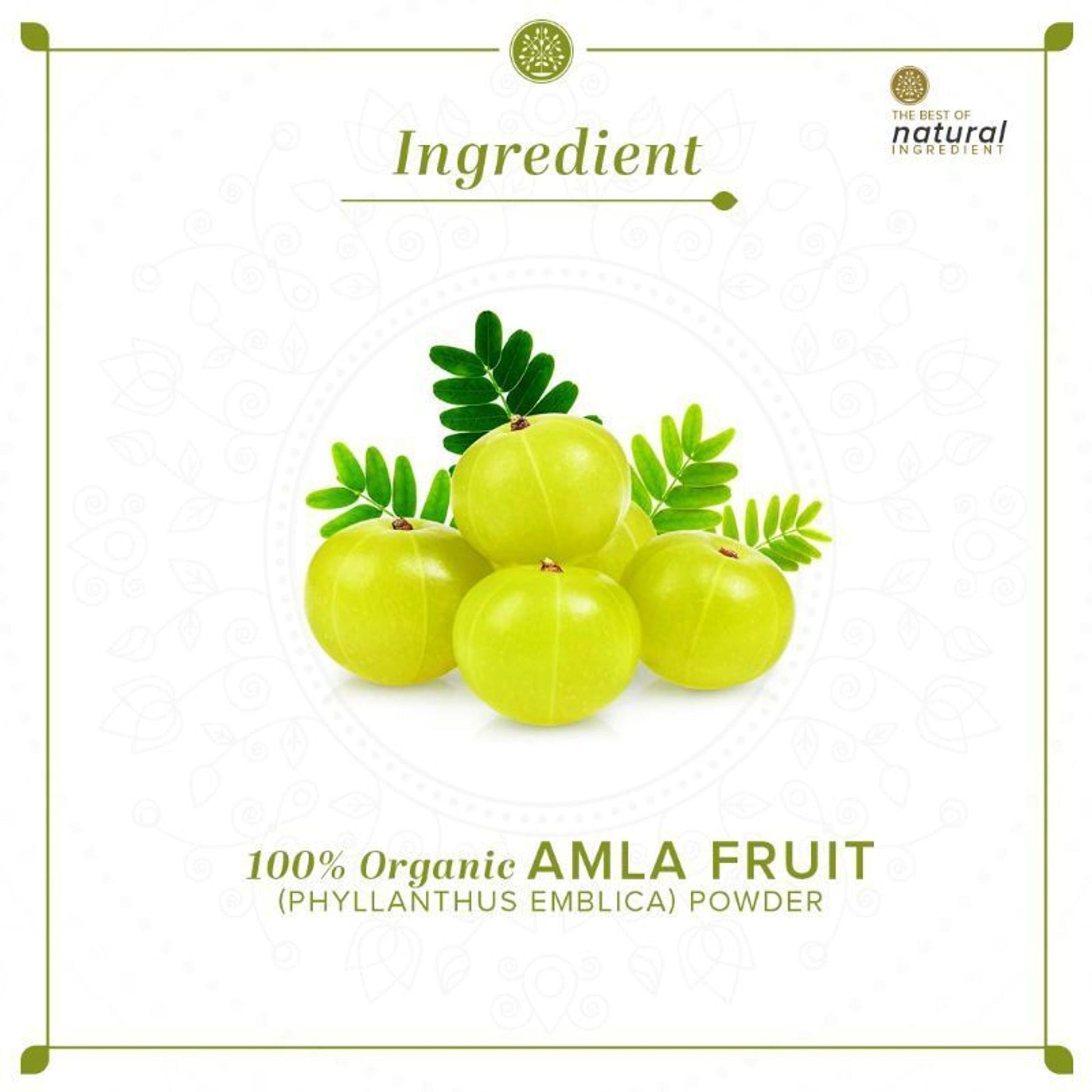 Khadi Natural Amla Fruit Organic Powder Strengthens Hair Roots