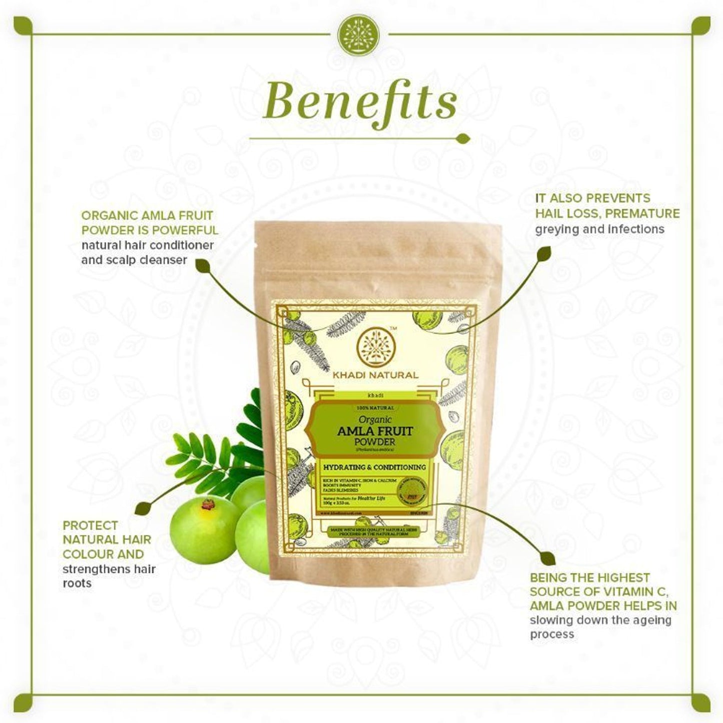 Khadi Natural Amla Fruit Organic Powder Strengthens Hair Roots