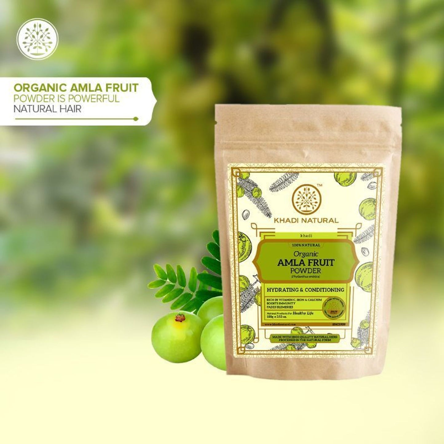 Khadi Natural Amla Fruit Organic Powder Strengthens Hair Roots