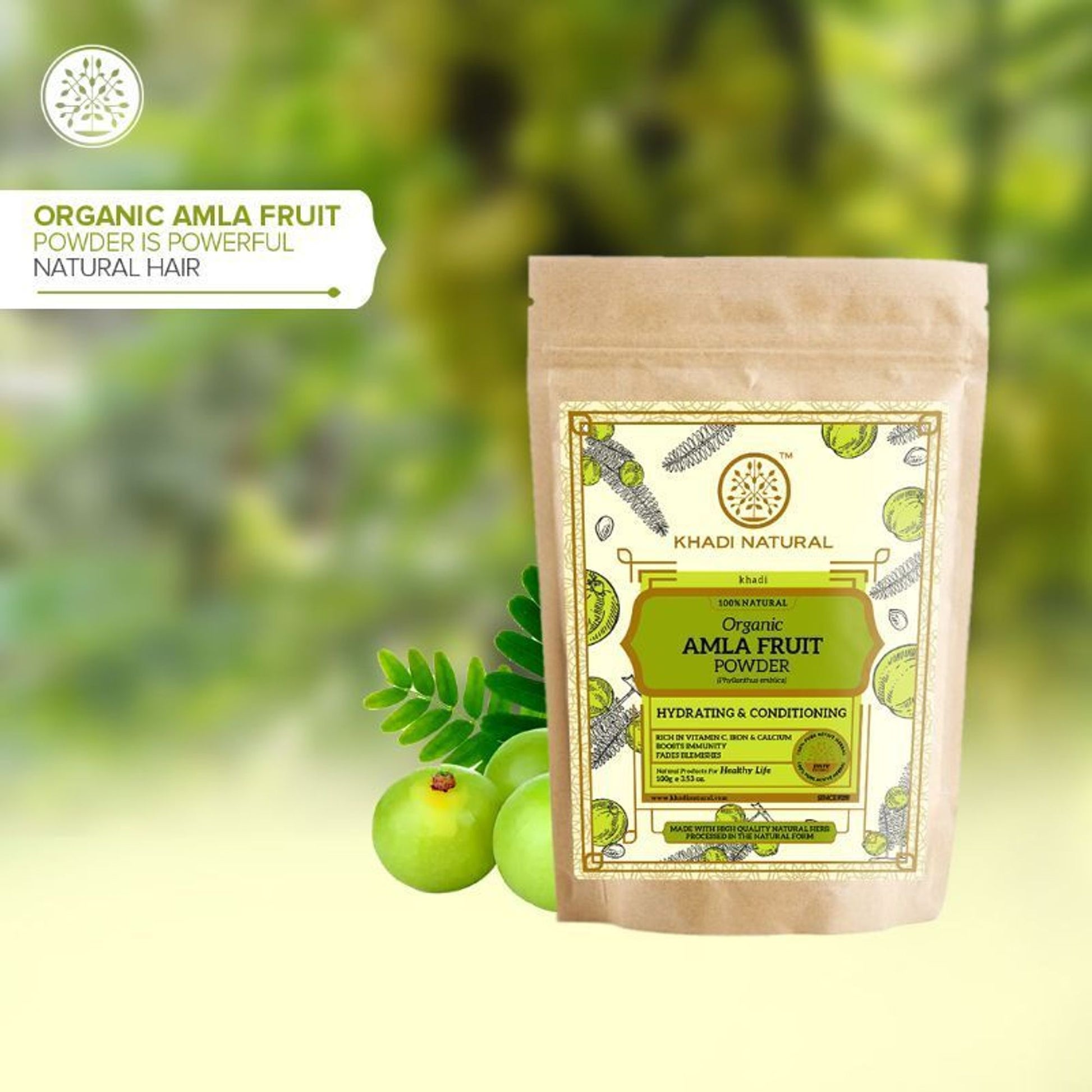 Khadi Natural Amla Fruit Organic Powder Strengthens Hair Roots