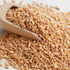 Grammy's Whole Wheat