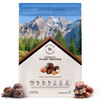 Wellbeing Nutrition Organic Plant Protein Isolate Dark Chocolate Hazelnut, 3B CFU Probiotics