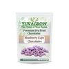 Yuvagrow Blueberry Kaju Chocolates