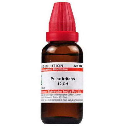 Dr. Willmar Schwabe India Pulex Irritans Dilution