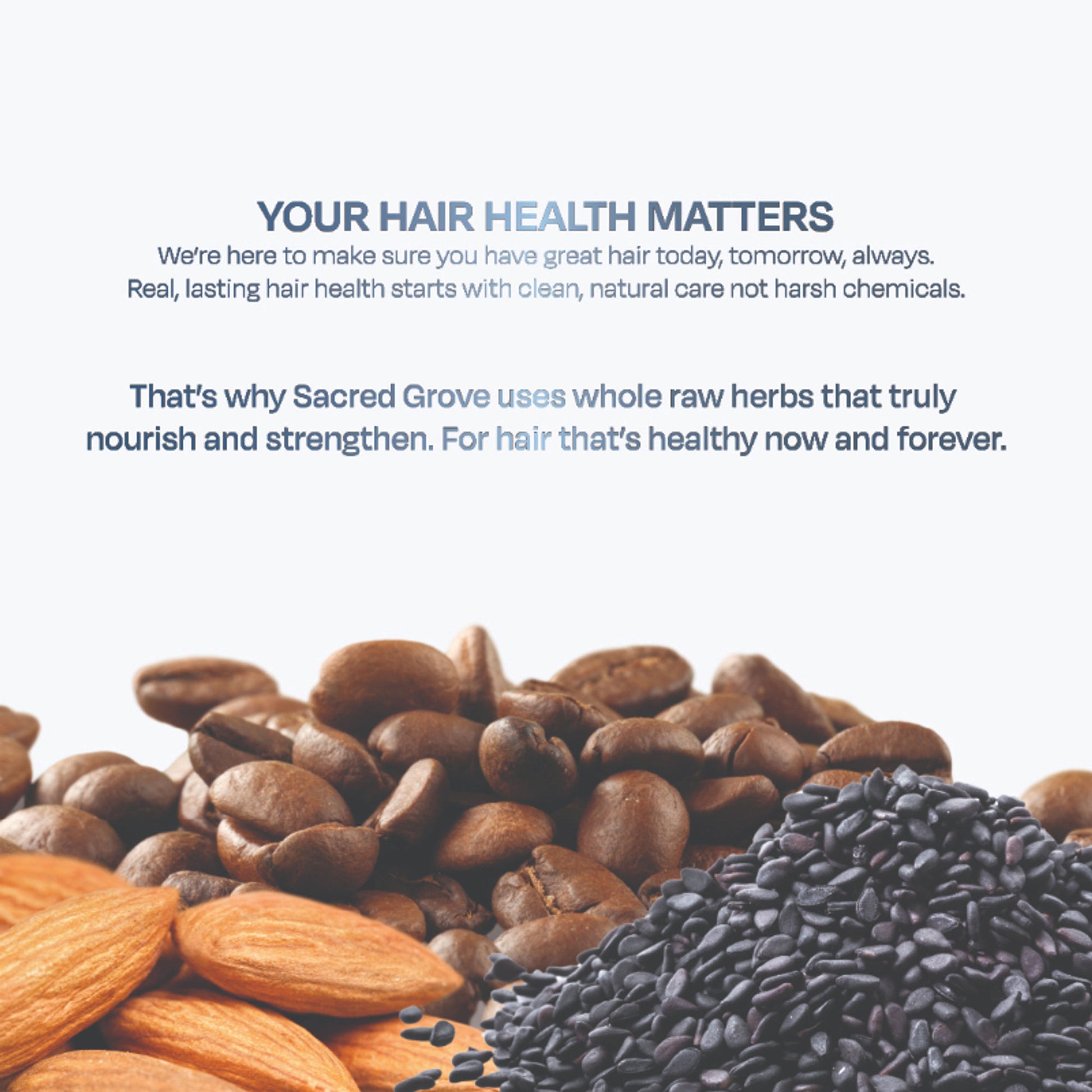 Sacred Grove Nourishing Hair Oil Coffee Bean & Blackseed For Strengthening Dry Damaged Hair