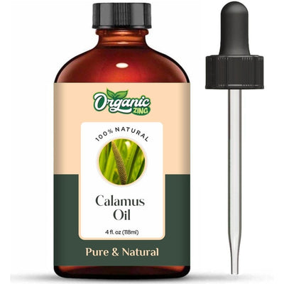 Organic Zing Calamus (Acorus Calamus) Oil | Pure & Natural Essential Oil for Skincare, Hair Care, Aroma & Diffusers