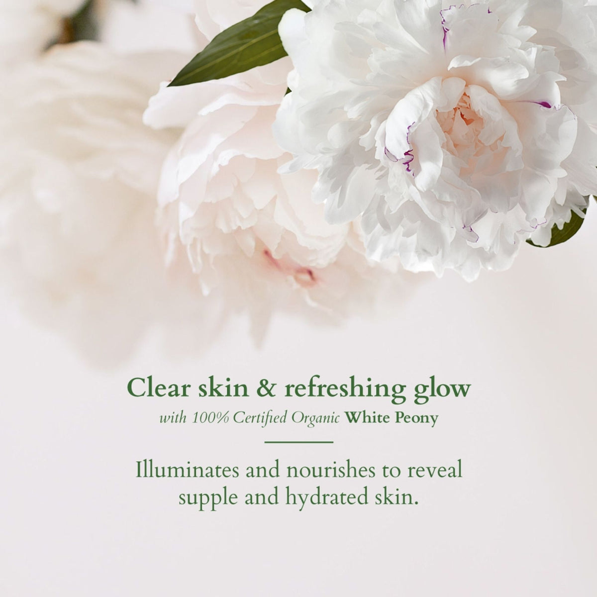 Lotus Organics Precious Brightening Face Wash