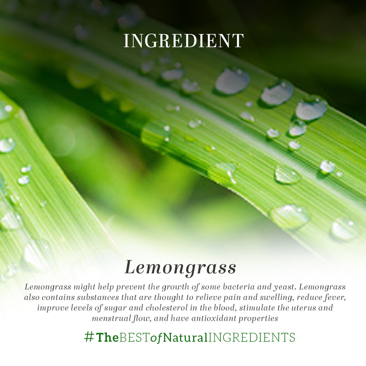 Khadi Natural Lemongrass Essential Oil bottle, showcasing natural skincare product for firming and toning skin.