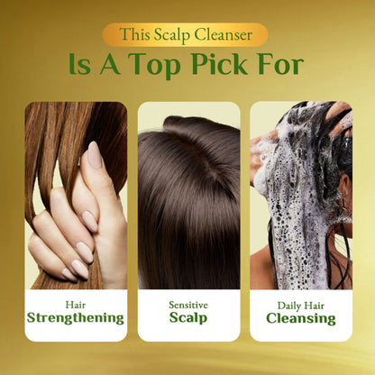 Richfeel Scalp Cleanser - Dandruff Control, Hair Fall Reduction, Soothes Irritation , Sulphate-Free