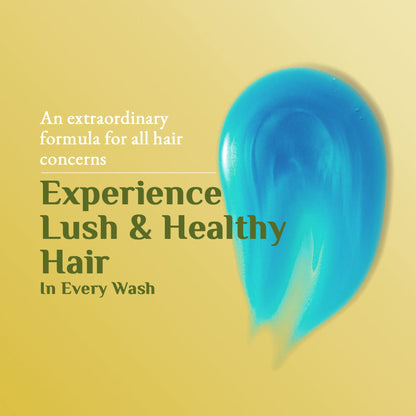 Richfeel Arnica Anti-Dandruff Shampoo - Clears Flakes, Relieves Oil, Soothes Itching