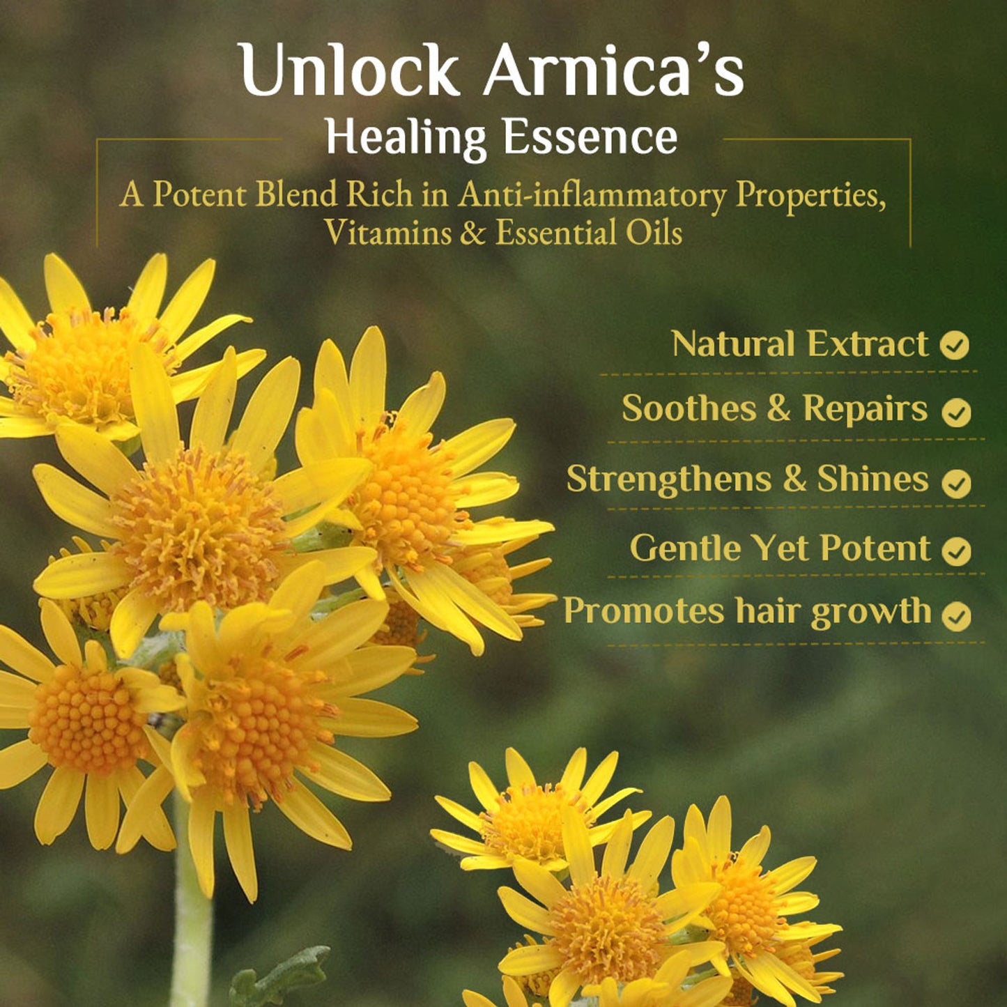 Richfeel Arnica Anti-Dandruff Shampoo - Clears Flakes, Relieves Oil, Soothes Itching