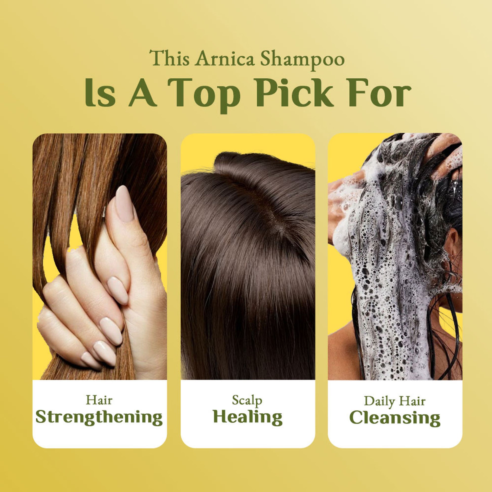 Richfeel Arnica Anti-Dandruff Shampoo - Clears Flakes, Relieves Oil, Soothes Itching