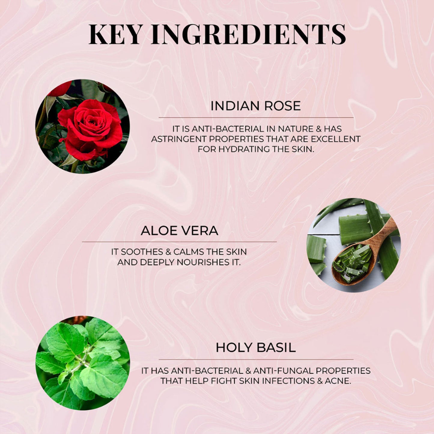 Just Herbs Bath & Body Wild Indian Rose Body Wash