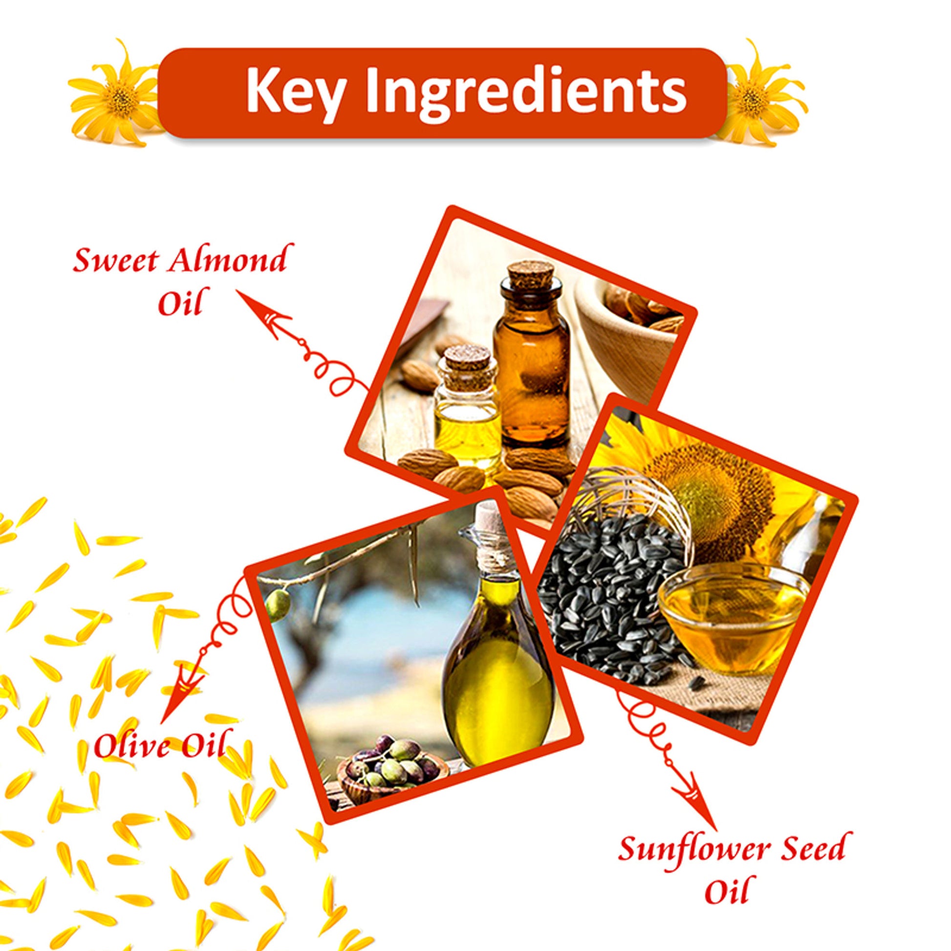 Omeo Arnica Hair Oil With Amla & Almond Oil Extract - Anti Hairfall, Prevents Hair Fall & Promotes Hair Growth