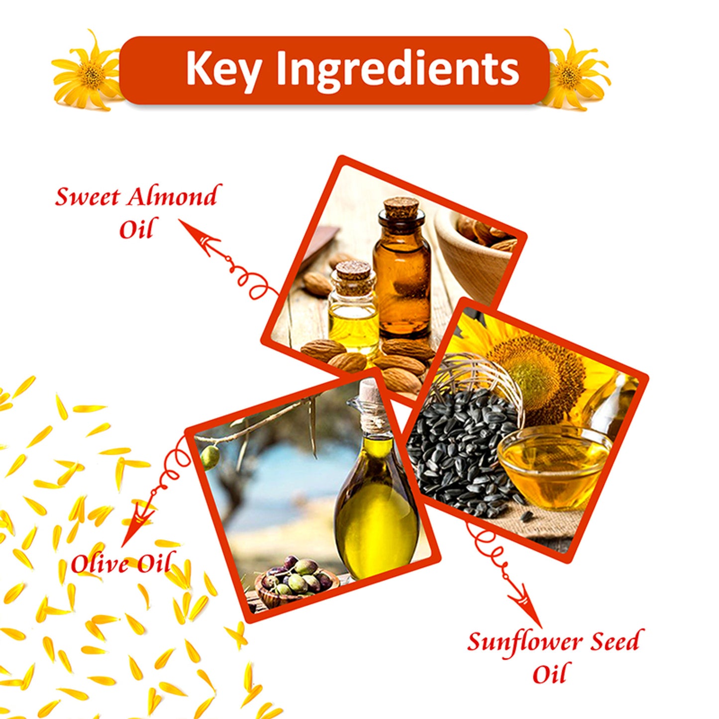 Omeo Arnica Hair Oil With Amla & Almond Oil Extract - Anti Hairfall, Prevents Hair Fall & Promotes Hair Growth