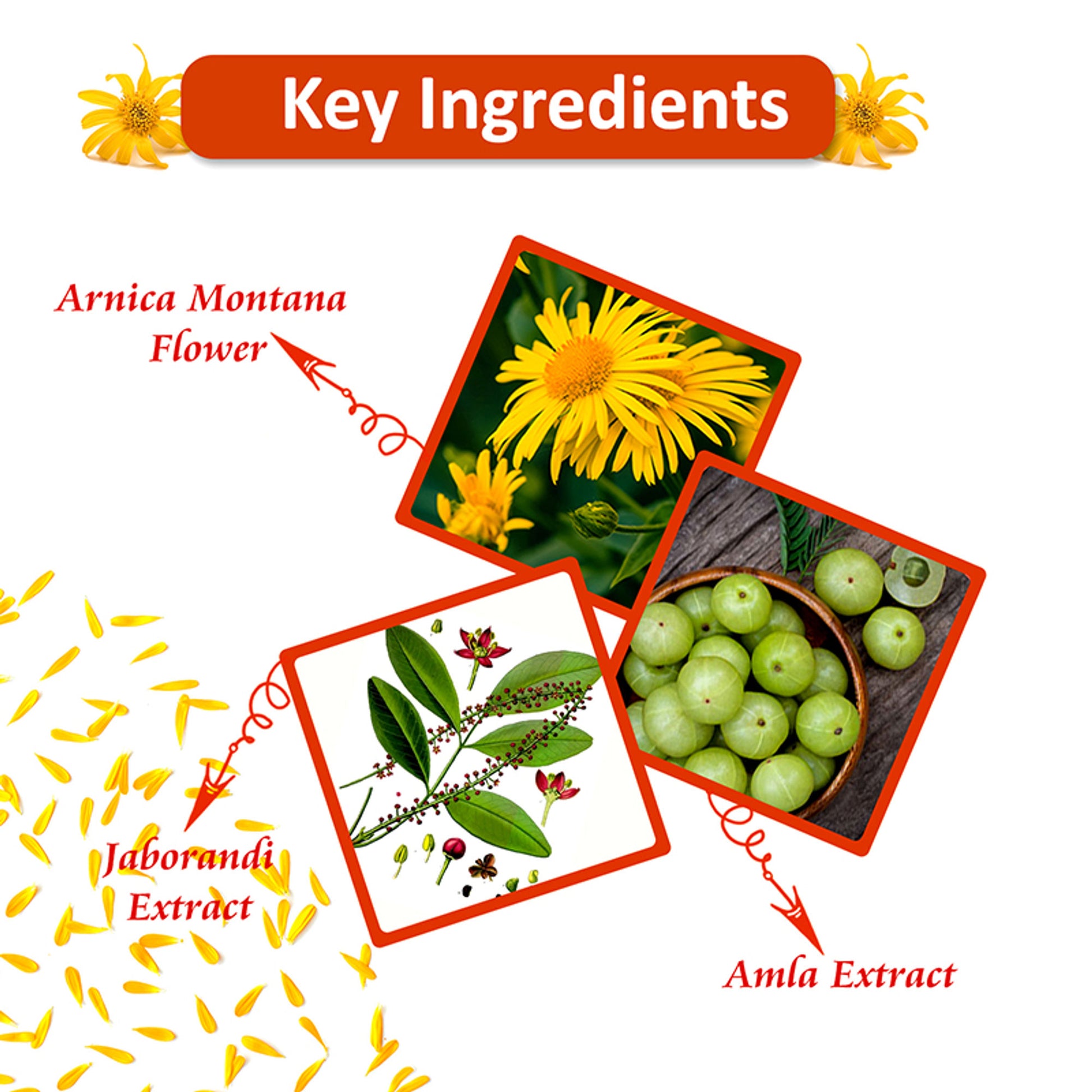 Omeo Arnica Hair Oil With Amla & Almond Oil Extract - Anti Hairfall, Prevents Hair Fall & Promotes Hair Growth