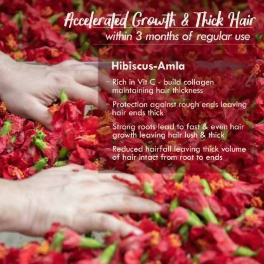Nat Habit Hibiscus Amla Hair Growth Summer Dasabuti Hair Oil - Indyancart