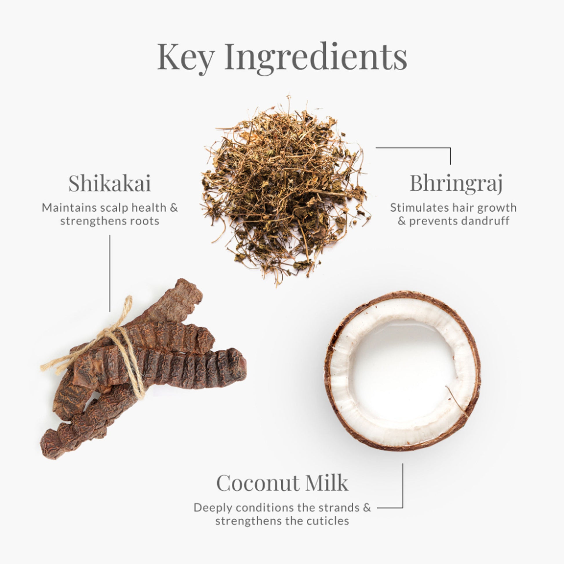 Forest Essentials Hair Conditioner - Bhringraj & Shikakai