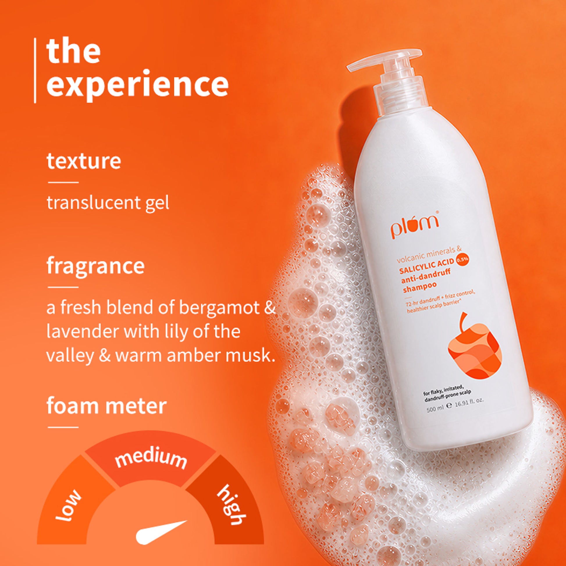 Plum Volcanic Minerals & Salicylic Acid 0.5% Anti-Dandruff Shampoo