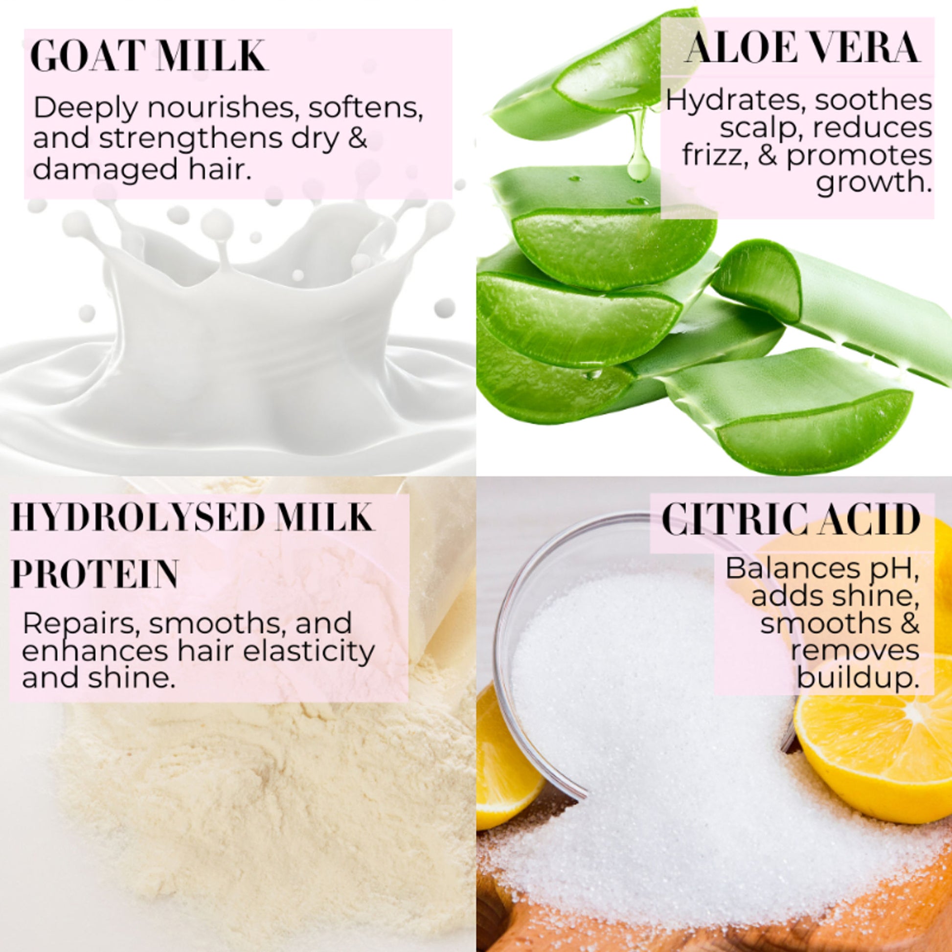 Baes Club Goat Milk Shampoo with Conditioner for Hydration, Nourishment & Frizz Free hair Unisex