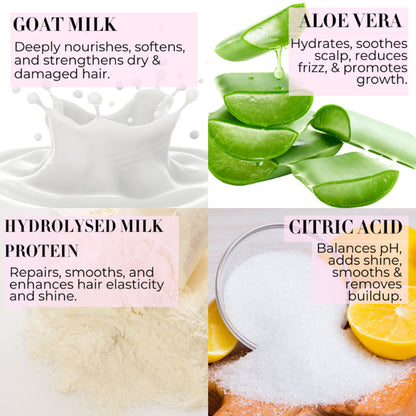 Baes Club Goat Milk Shampoo with Conditioner for Hydration, Nourishment & Frizz Free hair Unisex
