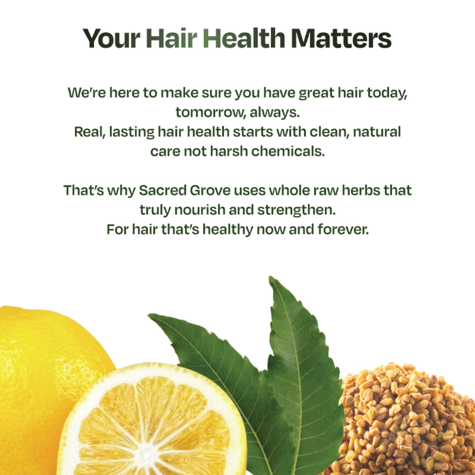 Sacred Grove Neem Anti-Dandruff Hair Mask Plant based Intense Dandruff Treatment for flaky scalp
